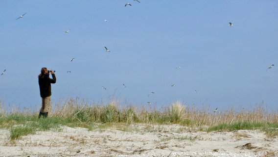 Seit sieben Jahren ist Vogelwart Enno Janßen allein unter Vögeln. © NDR/video arthouse/Johann Ahrends 