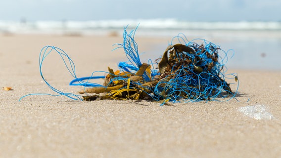 Plastikmüll am Strand © colourbox Foto: -