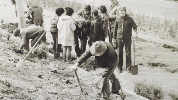 Baumpflanz-Aktion in der ehemaligen DDR © NDR 