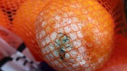 Zu sehen ist ein Netz mit Orangen,  eine davon ist schimmlig. © NDR 