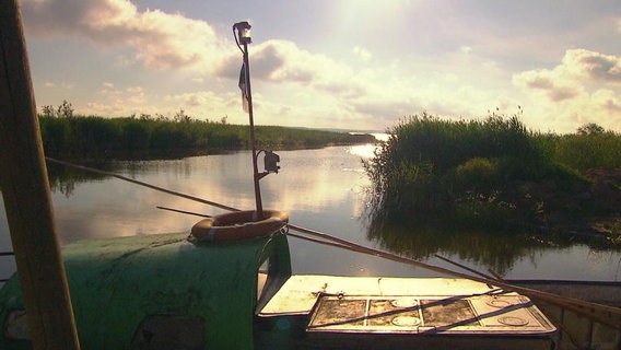 Ein Boot am Ufer des Peipussees © NDR 