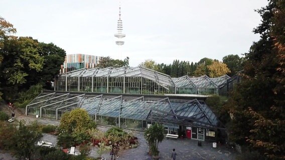 Blick auf die Schaugewächshäuser in Planten un Blomen in Hamburg. © Screenshot 