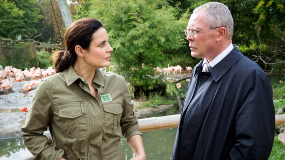 Die Lage ist ernst - der Leipziger Zoo steht ohne Direktor da und OB Herrenbrück (Frank Sieckel, r.) bittet Tierärztin Dr. Mertens (Elisabeth Lanz, l.) um Unterstützung. Wird sie die Zoodirektion übernehmen? Die Lage ist ernst - der Leipziger Zoo steht ohne Direktor da und OB Herrenbrück (Frank Sieckel, r.) bittet Tierärztin Dr. Mertens (Elisabeth Lanz, l.) um Unterstützung. Wird sie die Zoodirektion übernehmen? © ARD/Steffen Junghans Foto: Steffen Junghans