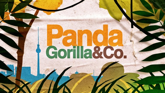 Eine Grafik mit dem Schriftzug "Panda, Gorilla & Co." zeigt im Vordergrund exotische Pflanzen und im Hintergrund eine Silhouette Berlins mit Fernsehturm. © rbb/Dokfilm 