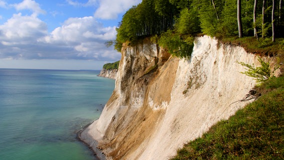 Die Kreidefelsen auf Rügen. © © NDR/Christoph Hauschild, honorarfrei 