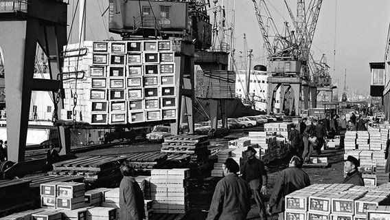 Der Hansahafen Anfang der 1970er-Jahre: Orangen und Zitronen werden noch immer in kleinen Kisten gelöscht. © NDR/Hamburger Hafen und Logistik AG 