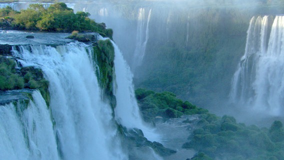 Naturwunder Iguacu: Die weltberühmten Wasserfälle sind ca. 2.700 Meter breit. © © NDR/NDR Naturfilm/Christian Baum 