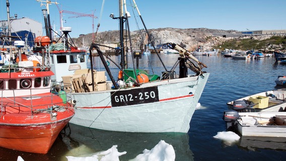 Walfang-Schiff in grönländischem Hafen © NDR/NDR Naturfilm/Ocean Mind/Daniel Opitz 