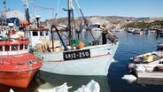 Walfang-Schiff in grönländischem Hafen © NDR/NDR Naturfilm/Ocean Mind/Daniel Opitz 