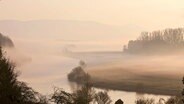 Frühnebel an der Weser © NDR Naturfilm/Jürgen Borris 
