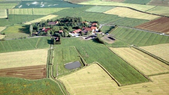 Ostfriesisches Dorf aus der Luft © © NDR/Ernst Sasse 