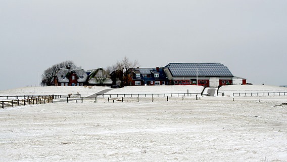 Romantisch mutet der Winter auf der Hallig Langeneß an. Doch für die wenigen Bewohner bedeutet es oft wochenlange Isolation und Einsamkeit. © © NDR/MedienKontor/Carolin Reiter 