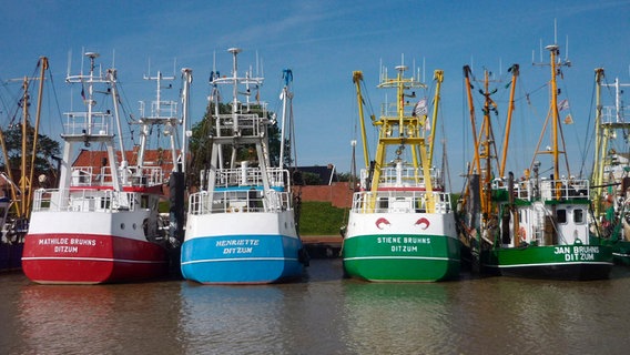In Ditzum heißen alle Krabbenfischer Bruhns. © © NDR/Johann Ahrends 