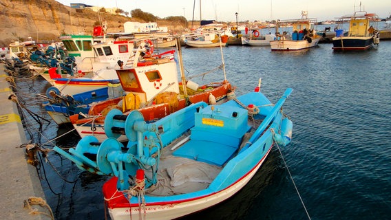 Santorin ist ein Archipel der Fischesser - im Hafen von Athinios liegen unzählige kleine Fischerboote. © © NDR/Till Lehmann 