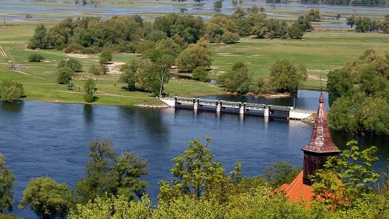 Der Nationalpark Unteres Odertal im Osten der Uckermark liegt am Unterlauf der Oder. Er umfasst eine Fläche von 10.500 ha. © © NDR/NDR Naturfilm/coraxfilm/Christoph Hauschild 