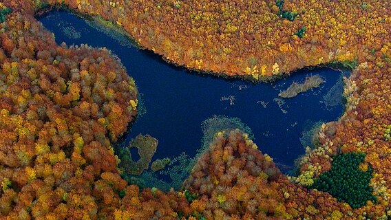 Seen und Sölle, Flussläufe und Moore, ausgedehnte Wälder, Felder und Wiesen - das ist die Uckermark. © © NDR/NDR Naturfilm/coraxfilm/Christoph Hauschild 