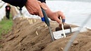 Spargelbesteck: Ein Messer für die Stangen und eine Kelle zum glattbügeln. © © NDR 