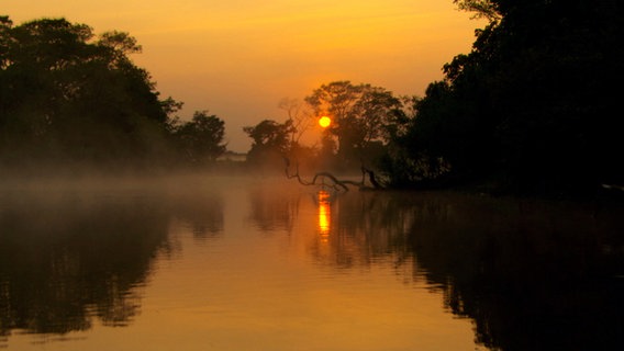 Das brasilianische Pantanal in der Morgendämmerung. © © NDR/NDR Naturfilm/Light & Shadow GmbH 