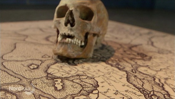 Schädel auf einer alten Landkarte.  