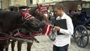 Tobias Schlegl hält eine kleine Österreich-Flagge, an der ein Pferd knabbert.  