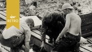 Drei Archäologen bei iener Ausgrabung 1962.  