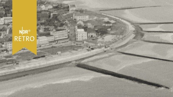 Luftaufnahme Norderney mit Buhnen (1962).  