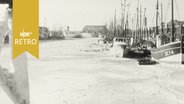 Eingefrorene Schiffe im Hafenbecken von Büsum (1963).  