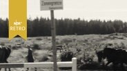 Volkpolizisten mit Pferdepflug bei der Arbeit am Todesstreifen der innerdeutschen Grenze 1962  