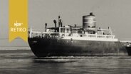 Auf Grund gelaufneer Frachter "Conca d'Oro" in der Störmündung 1963.  