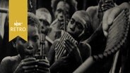 So genannte Nasenflöte vor einem Foto, das Indigene mit diesem Musikinstrument zeigt (1963)  