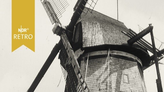 Segelwindmühle in Lemkendorf auf Fehmarn (1965)  
