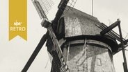 Segelwindmühle in Lemkendorf auf Fehmarn (1965)  