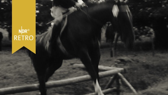 Pferd bei einem etwas unkonventionellen Sprung im Military-Parcours, Neumünster 1965  