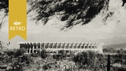 Azteken-Stadion in Mexiko-City 1965 von Ferne  