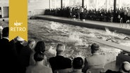 Schwimmer in einem Becken bei einem Schauwettkampf zur Eröffnung einer Schwimmhalle in Lübeck 1965  