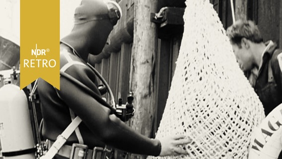 Taucher inspiziert ein Netz, das zu Wasser gelassen werden soll (1964)  