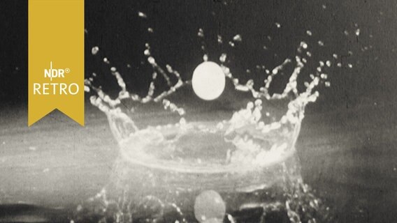 Tropfen prallt auf Wasseroberfläche (Foto 1965)  