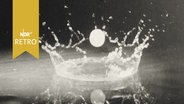 Tropfen prallt auf Wasseroberfläche (Foto 1965)  