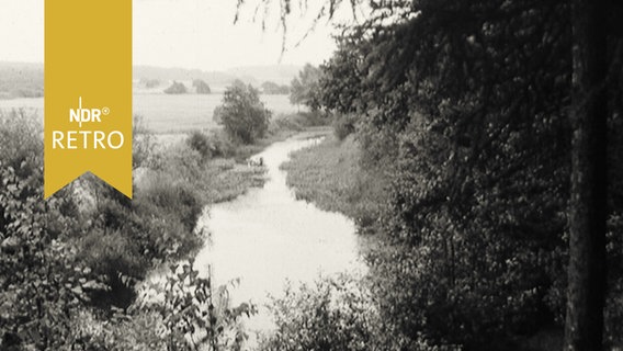 Geestlandschaft bei Wildeshausen (1965)  