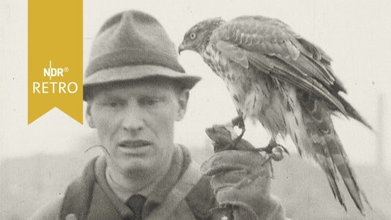 Falkner mit Falkner (1964)  