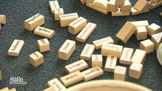 Holzklötze auf denen Wörter stehen, liegen auf dem Boden.  