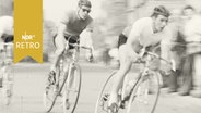Radrennfahrer beim Amateurrennen in Braunschweig 1963  