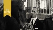 Fritz Thiedemann ehrt seinen Hengst "Meteor" am 20 Geburtstag mit einem Blumenstrauß  