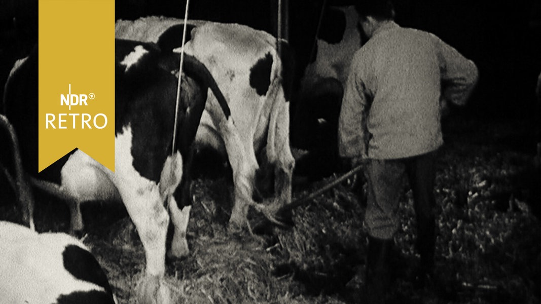 Betriebshelfer für die Landwirtschaft | NDR.de - Geschichte - NDR Retro