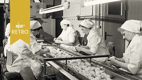Frauen beim Putzen von Kartoffeln am Fließband in der Kartoffelhalle Schwarmstedt (1964)  