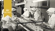 Frauen beim Putzen von Kartoffeln am Fließband in der Kartoffelhalle Schwarmstedt (1964)  