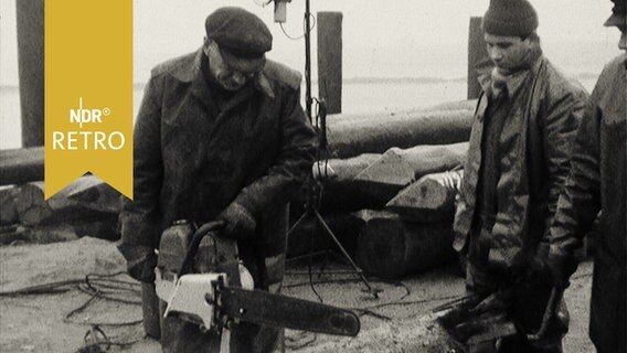 Bauarbeiter mit Kettensäge bei Arbeiten an einem Holzpfahl an der Mole von Dagebüll 1964  