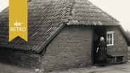 Ostriesische Moorkate 1964  