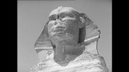 Sphinx in Ägypten (Archivbild)  