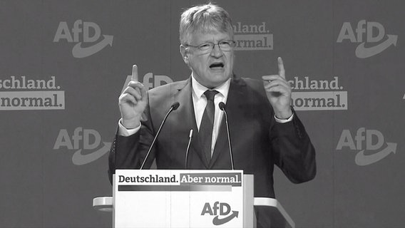 Jörg Meuthen beim AfD-Parteitag  
